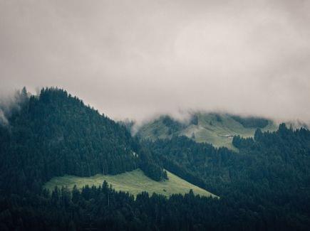 Allgäu Torghele's Wald + Fluh - Familienhotel im Allgäu
